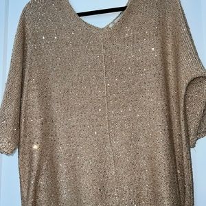 Sequin Blouse